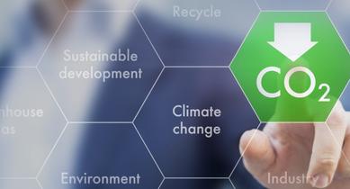 Principal engineer - sustainable energy & climate action by Liam P. Ó Cléirigh