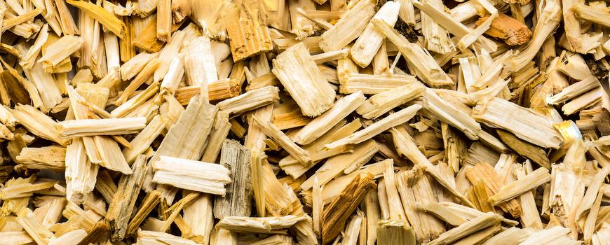 Sustainability criteria for biomass